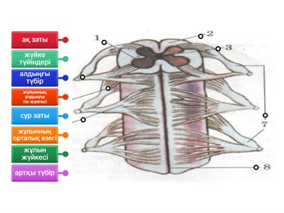 Ең әдемі орыс қызымен секс онлайн видео