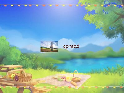 Australian Adventure