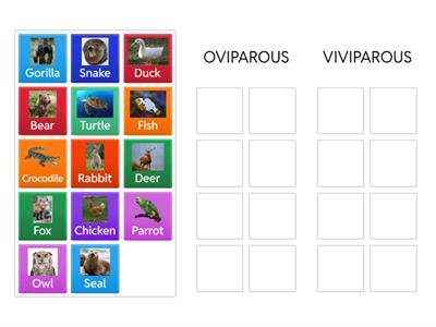 Viviparous or Oviparous?