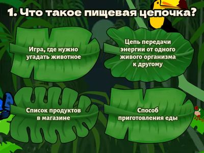 Биология. Тема "Пищевые цепочки".