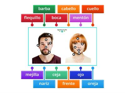 Parts of the Face in Spanish - Practise