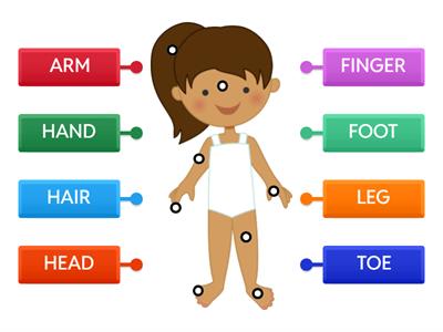 Body parts 1º PRIMARIA