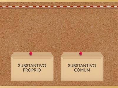 SUBSTATIVO PROPRIO E COMUM 