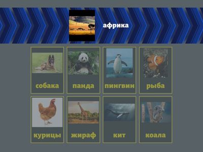 кто где живёт?