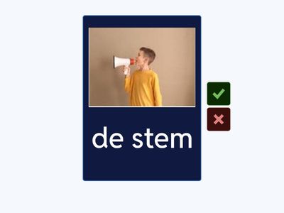 de voortplanting NT2 | jongens en meisjes | flashcards