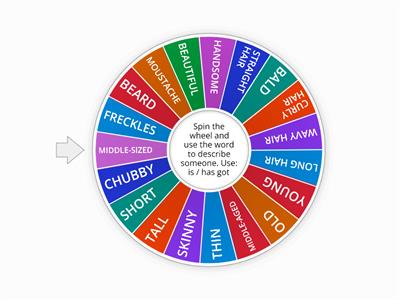 PHYSICAL DESCRIPTION WHEEL