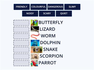 MATCH ANIMAL WITH ADJECTIVE OU3 U1
