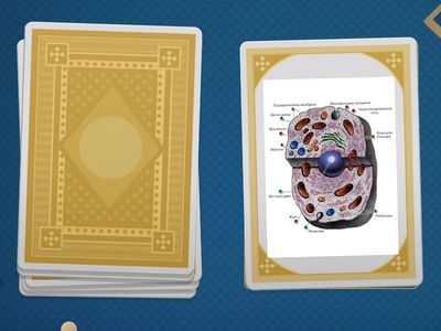 Жасуша ішіне саяхат! 