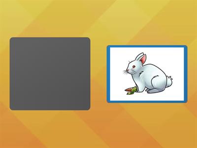  Автоматизация звука Р