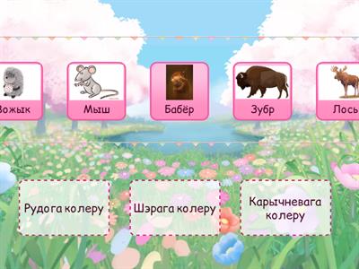 Маляняты. Дзікія жывёлы.