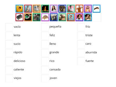 Spanish Adjectives Practise - Beginners