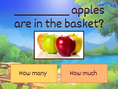 How Much or How Many?