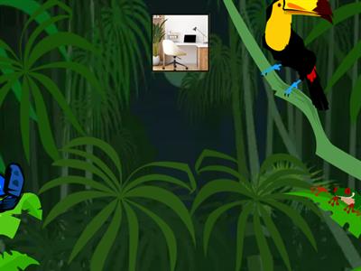 Rooms - Flying fruit