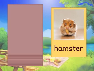 GG 1 Unit 7.1/7.2 Vocabulary Animals