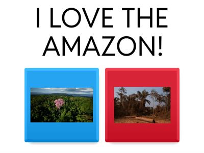 Love the Amazon Rainforest