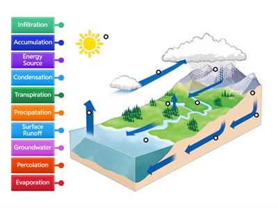 Water Cycle Labeled Diagram 