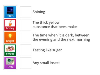 Grade 1 Unit 9 Vocab Check