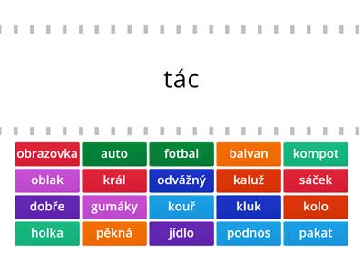 český jazyk - slova souznačná 