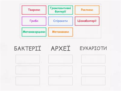 Основні групи організмів: бактерії, археї, еукаріоти. З повагою,Катерина ВОЛОБУЄВА.