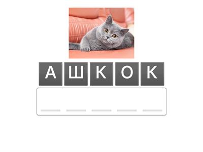  АНАГРАМА Ш РУС