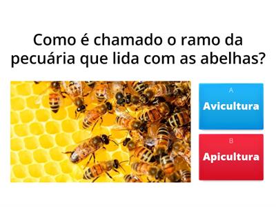 QUIZ da agricultura e pecuária