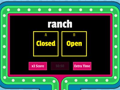 Closed Syllables 2nd grade review 