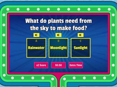 Photosynthesis Gameshow Quiz (Beginner)