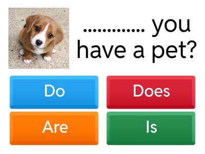  Present Simple : + / - / ?