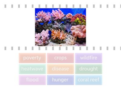 Global Warming Vocabulary