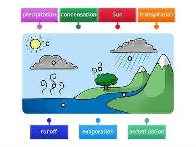  Stripling's Water Cycle - Illustration labeling activity