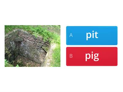 Word ending CVC minimal pair reading