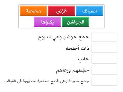  معاني الكلمات البركة 