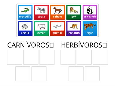  NATURAIS 1º  Animais carnívoros/herbívoros