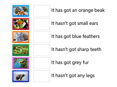 Staś | has got/hasn't got