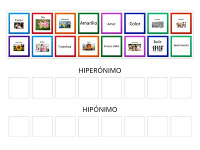 CLASIFICAR HIPERÓNIMO/HIPÓNIMO