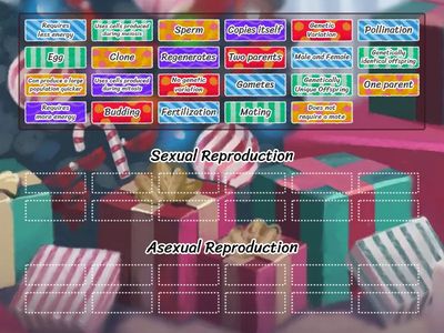 Sexual Reproduction vs Asexual Reproduction