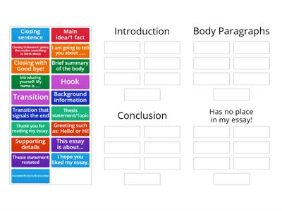 Informative Essay Sort