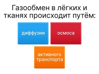 Дыхательная система человека