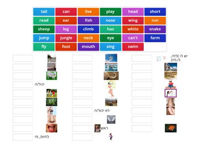 Vocabulary 4th Grade March