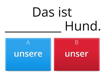 Possessivartikel im Akkusativ