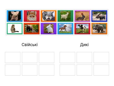 Свійські та дикі тварини