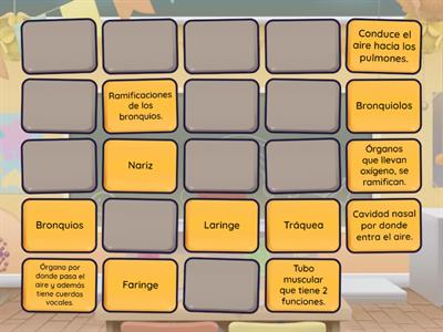 Partes del sistema respiratorio