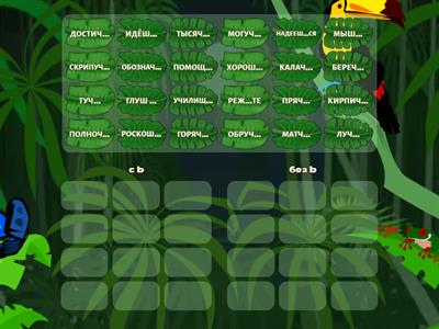 Ь после шипящих