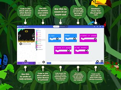 Micro:Bit Activity 1