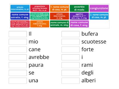 Analisi grammaticale - Il mio cane avrebbe paura se una bufera scuotesse forte i rami degli alberi.