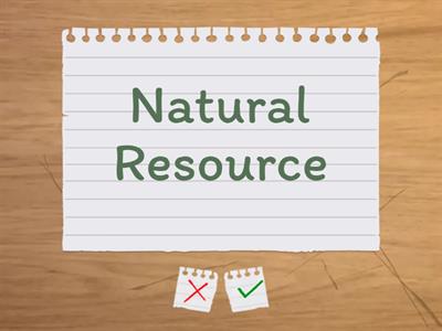 Human Impact on the Environment