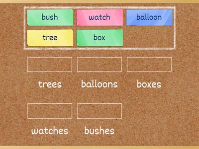 Singular and Plural Nouns
