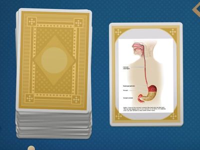 Musculoskeletal, Digestive, Circulatory System