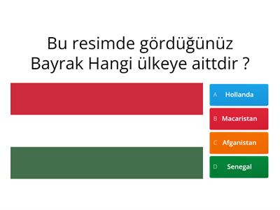 Türkçe Proje (Mahmut Aktaş )