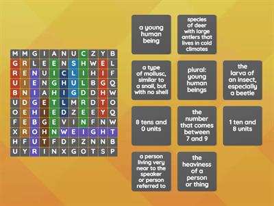 Jolly Grammar 'ei' and 'eigh' saying the /ai/ sound Wordsearch